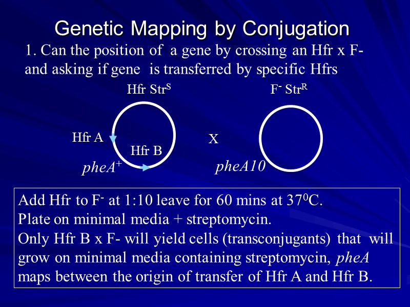 Genetic Mapping by Conjugation  1. Can the position of  a gene by